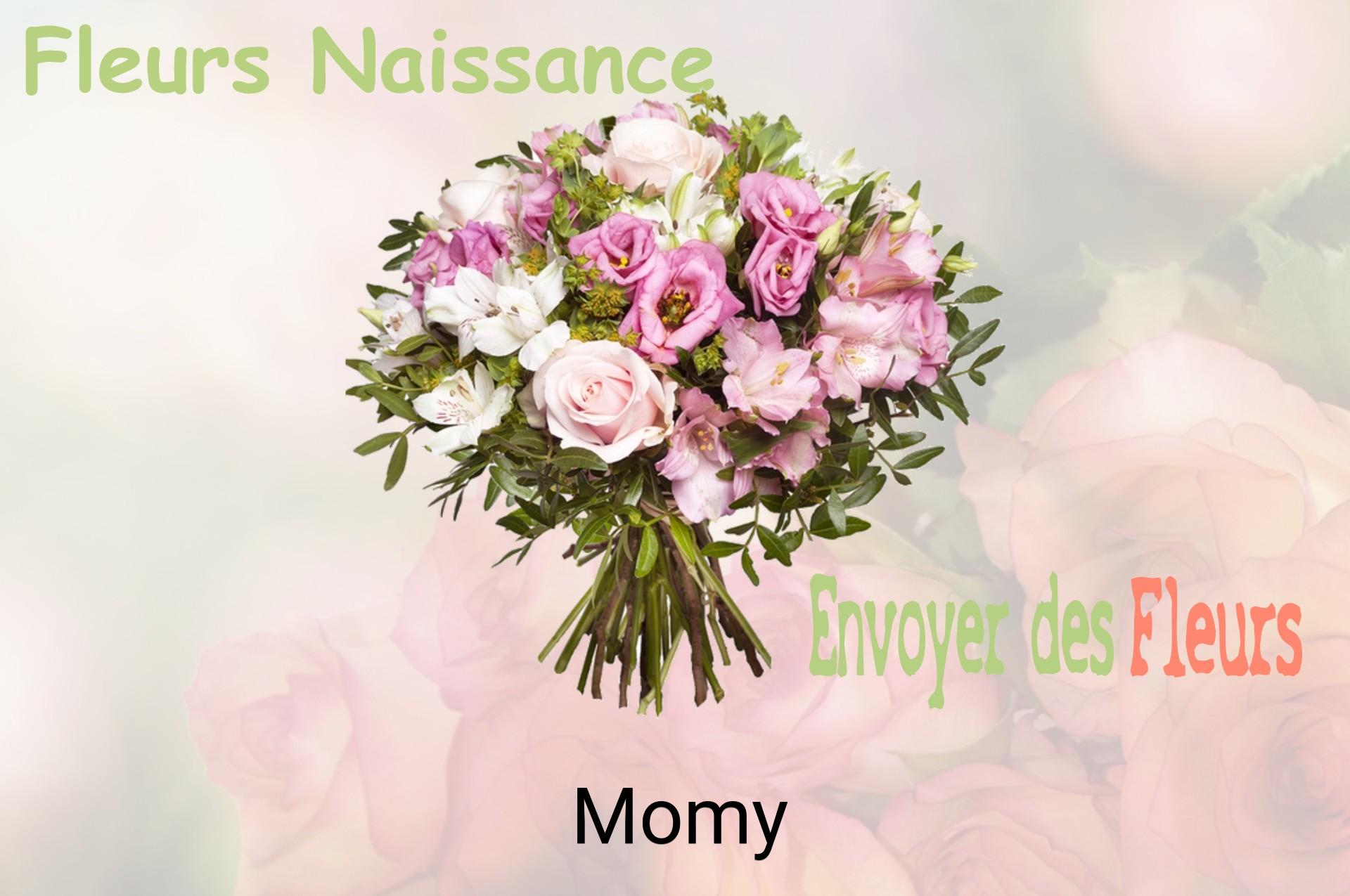Bouquet de fleurs de naissance livré à Momy